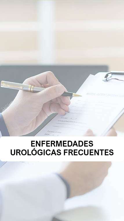 Enfermedades Urológicas más comunes